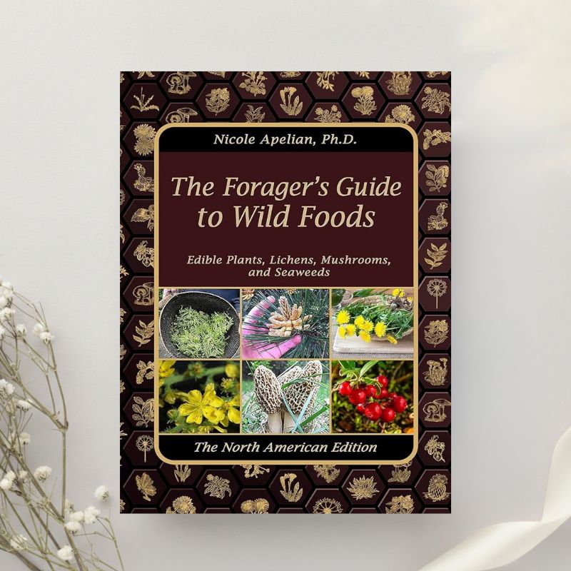 The Forager's Guide to Wild Foods by Nicole Apelian (2021)